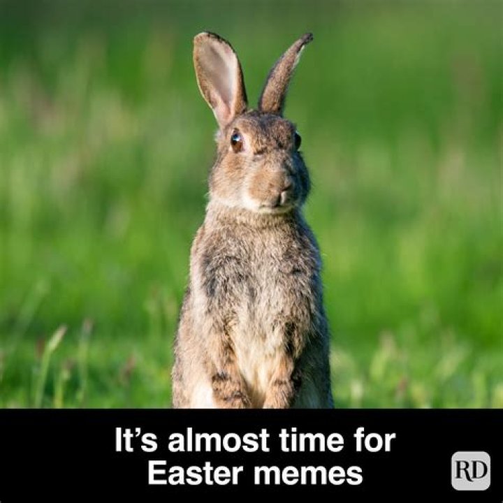 Easter memes