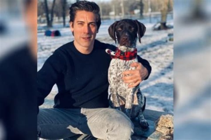 Is David Muir Married? Love Life And Relationship Of The Anchor