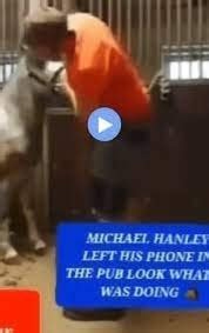 Is Michael Hanley Gay? Comfort Carriages Dublin Viral Horse Video